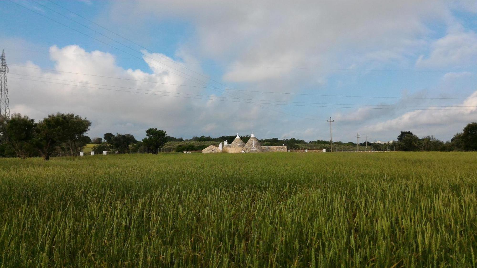 Trulli Don Diego Bed & Breakfast Noci Exterior photo