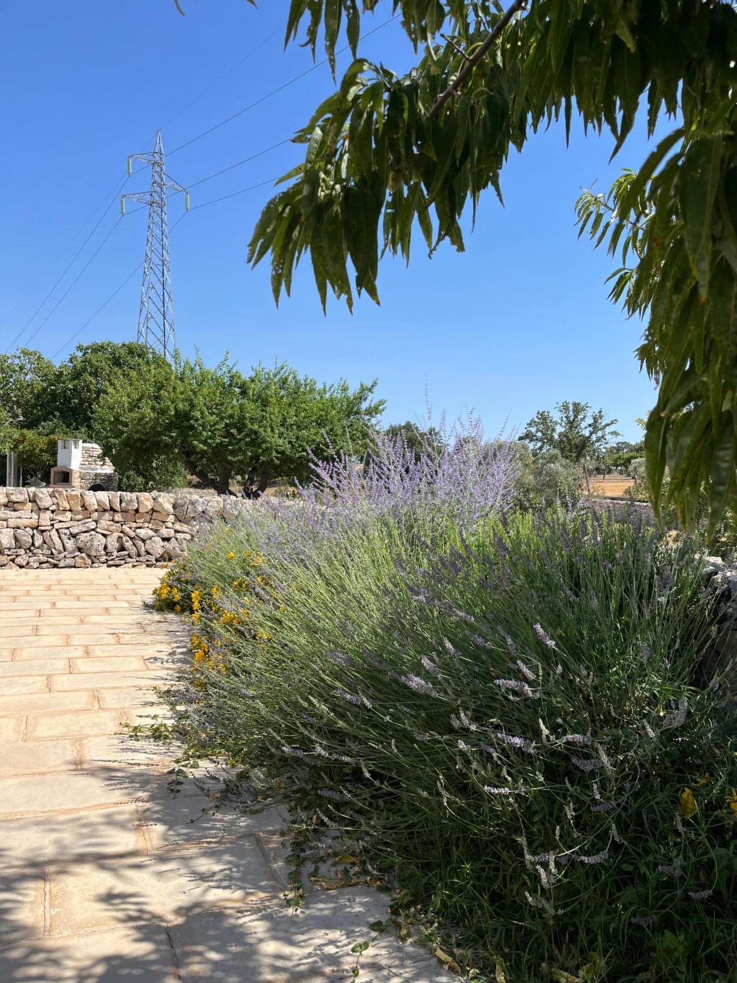 Trulli Don Diego Bed & Breakfast Noci Exterior photo