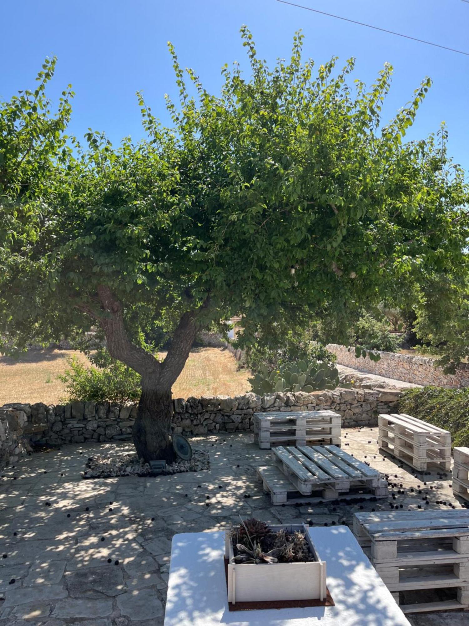 Trulli Don Diego Bed & Breakfast Noci Exterior photo